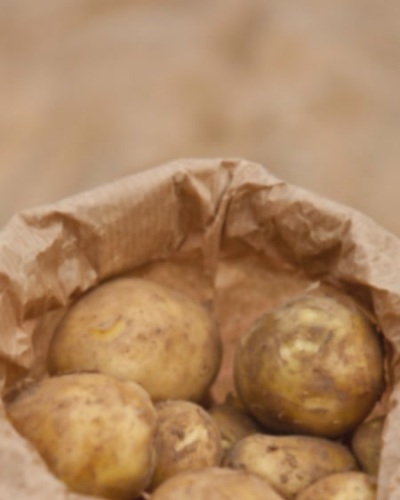 一级退堂鼓选手